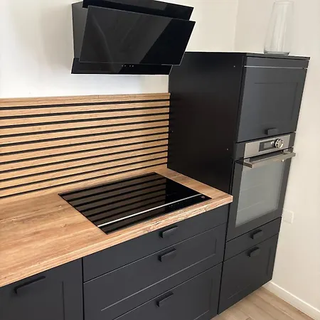 Renovated F3 Parking Clim Mont Boron
